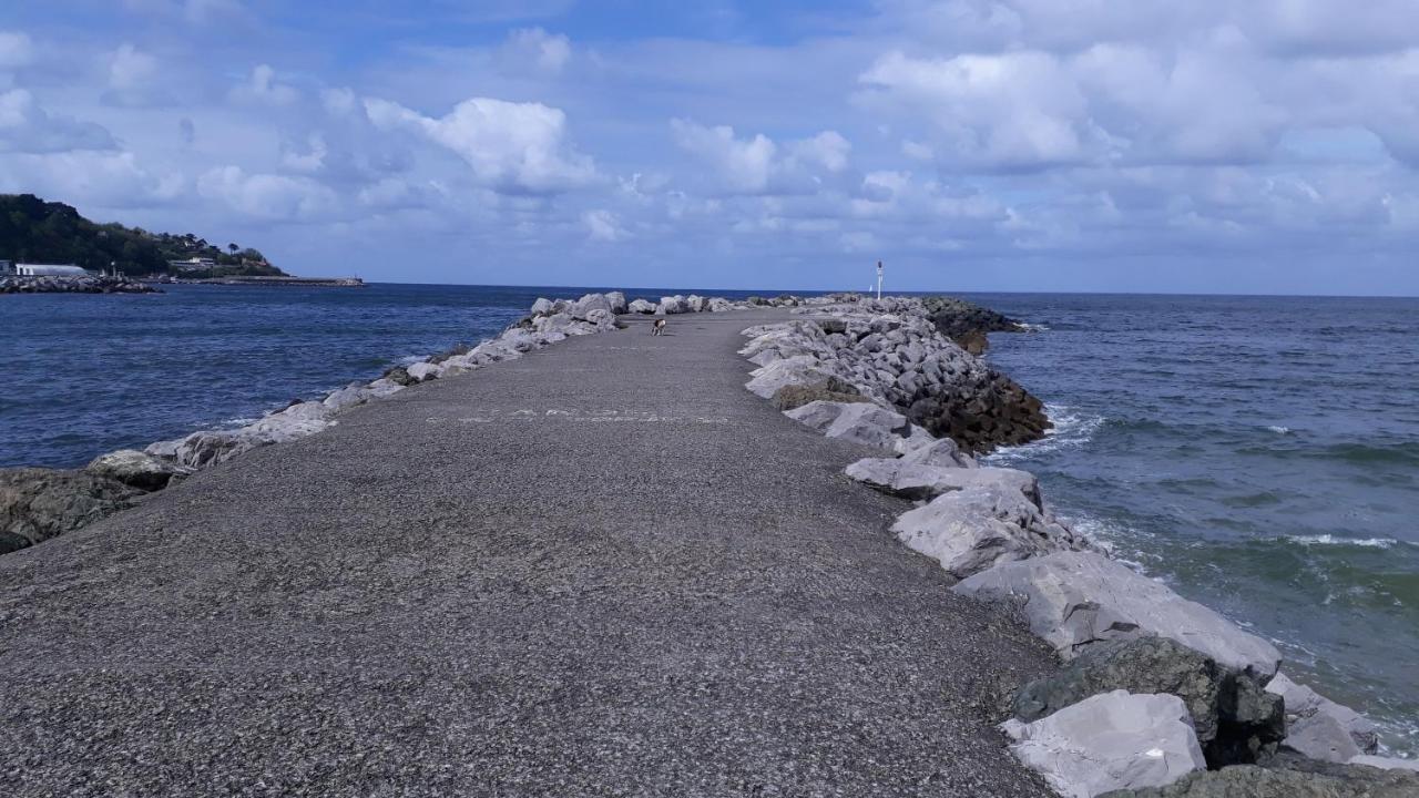 Oceanplage-wifi-terrasse-draps Et Serviettes * Hendaye